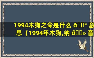 1994木狗之命是什么 💮 意思（1994年木狗,纳 🌻 音为山头火）